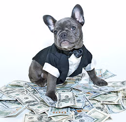 Payments in your app are easy with Firebase