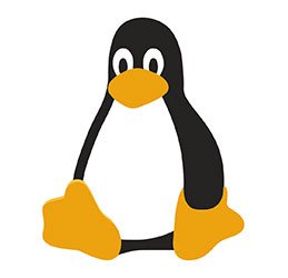 How to write your first Linux Kernel Module